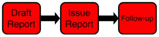 Blog_AuditProcess4 Draft, Issue, Follow-up