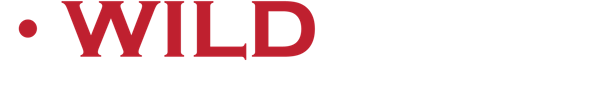 Wildcard Logo